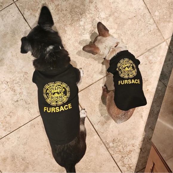 FURSACE Small Dog/ Cat Tee Shirt/ Black and Gold/ Brand New - Picture 12 of 14